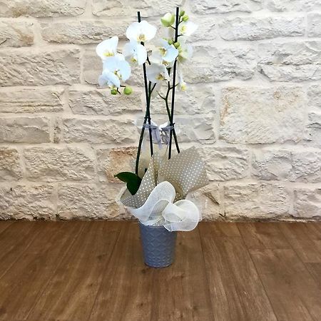 B&B Sant'Agostino Giovinazzo Exterior foto